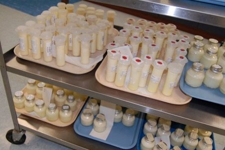 El Banco de Leche para prematuros de Cataluña