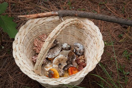 Entre hongos, gastronomía náhuatl y saberes ancestrales: este es el pueblo de Tlaxcala celebra un festival que conecta la cocina con el bosque