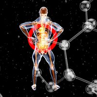 Milhões de homens estão perdendo o cromossomo Y e a ciência afirma que isso pode ser gravíssimo para a saúde