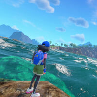 Ahora ya te puedes enfadar con propiedad con Pokémon porque TPC concreta el rol de Game Freak, Nintendo y Creatures 