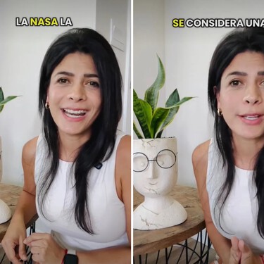 Esta es la razón por la que las decoradoras aman la lengua de suegra (y por qué deberías sumar una a tu hogar) 