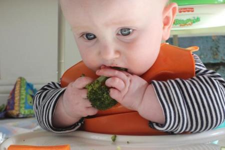 Alimentos para bebes de 4 meses y medio