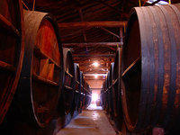 Recorrido de bodegas en Mendoza, Argentina