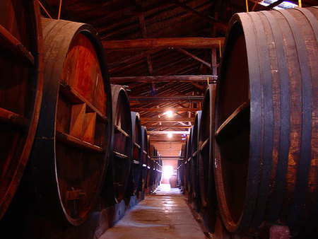 Recorrido de bodegas en Mendoza, Argentina