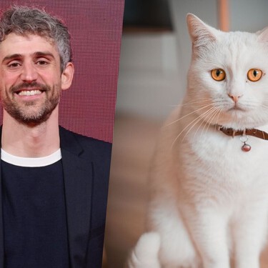 Víctor Algra, veterinario: “A diferencia de los perros, los gatos pueden sentir dolor sin que nos demos cuenta porque ocultan sus molestias; aprender a interpretar sus gestos es clave” 