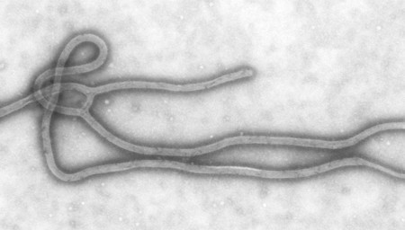 La Organización Mundial de la Salud confirma que el actual brote de Ébola es el más grande de la historia
