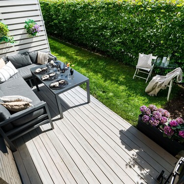 Ya en Lidl la planta perenne ideal para llenar de flores la terraza o el balcón por menos de 2 euros