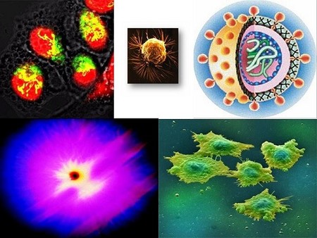 Los súperpoderes de las células cancerosas