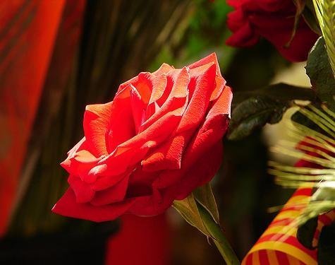 Resumen de la semana del 22 al 28 de Abril en Peques y más