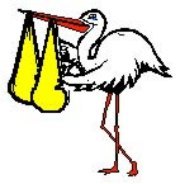 Otra mujer concibe en el mismo mes dos niñas que no son gemelas