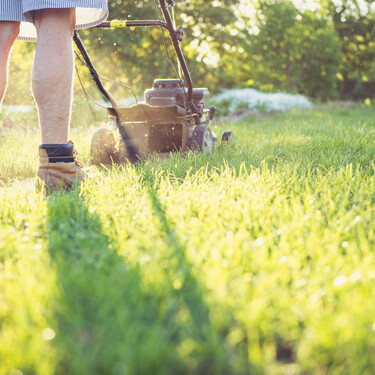 Cuándo es mejor cortar el césped si no quieres terminar con un lodazal en el jardín