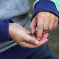Un niño se atragantó con una moneda en el autobús del cole y la conductora le salvó la vida
