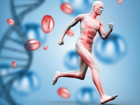 De cómo el ejercicio modifica nuestros genes para que seamos más saludables