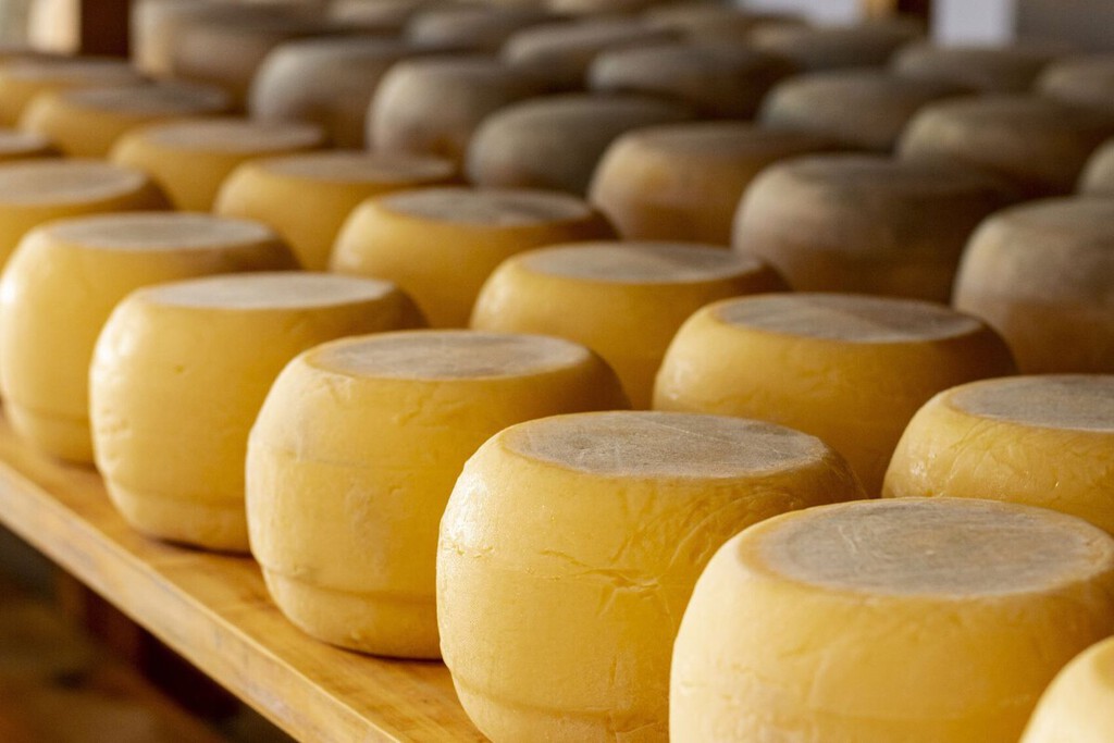 El Gobierno de Estados Unidos produce su propio queso y acumula tantas toneladas que lo guarda en minas subterráneas