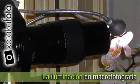 La iluminación en macrofotografía