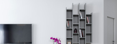 Qué hacer en otoño para asegurar una floración espectacular de tus orquídeas en primavera