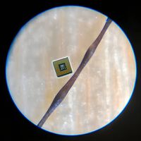 Un chip óptico más pequeño que un cabello: el avance que busca escalar las computadoras cuánticas 