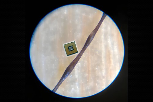 Un chip óptico más pequeño que un cabello: el avance que busca escalar las computadoras cuánticas