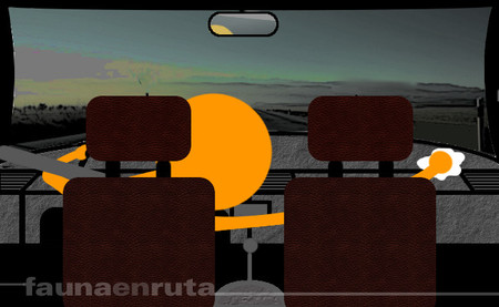 fauna en ruta: distracciones