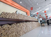 ¿Cuánto es, cien mil? Estooo, ¿te puedo pagar en monedas?