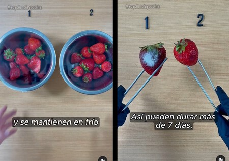 Fresas1889