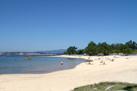 O Terron Imaxina