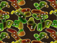 Agosto, el mes sin virus