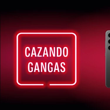 Cazando Gangas