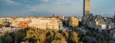 Uma cidade com árvores não é necessariamente uma cidade verde: a regra 3-30-300 explica o porquê 
