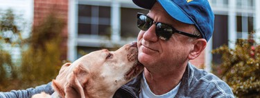 La paradoja de la Ley de Protección Animal: mejorar las condiciones de los perros podría perjudicar a las adopciones 