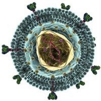 Nuevo marcador para detectar el VIH