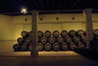 Enoturismo en Jeréz, Capital Europea del Vino durante el 2014