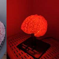 Alguien ha impreso en 3D su propio cerebro para convertirlo en una lámpara. Lo mejor es que tú también lo puedes hacer 
