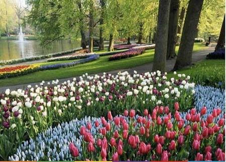 La exposición de tulipanes más grande del mundo