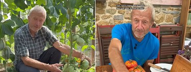 Charles Dowding, horticultor, aclara por qué hay que cosechar los tomates aún verdes: “maduran muy bien fuera de la planta” 
