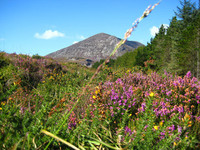 Blogger Trip: Escapada desde Belfast a las montañas de Mourne