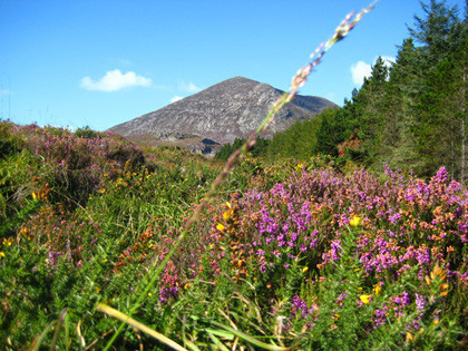 Blogger Trip: Escapada desde Belfast a las montañas de Mourne
