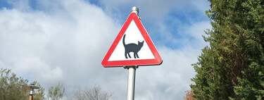  ¡Cuidado, gatitos! En un pueblo de Valladolid había tantos atropellos de gatos que se han inventado una nueva señal