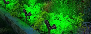 Hay expertos en zoología y jardineros que están en contra de las luces solares en terrazas y jardines. Estas son sus razones 