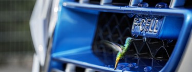 El hidrógeno no tiene futuro en el transporte por carretera: no se salvan ni los camiones de pila de combustible, según este estudio