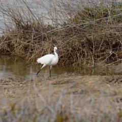 Foto 2 de 13 de la galería analisis-nikon-d810 en Xataka Foto