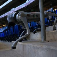 El Mundial 2026 en México tendrá perros robot vigilando los estadios: ya patrullaron el Estadio BBVA en Monterrey  
