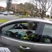 Que la policía te dé el alto y sigas haciendo caso al móvil, ¿sólo 400 dólares?