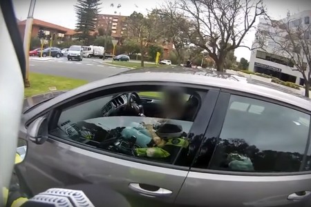 Que la policía te dé el alto y sigas haciendo caso al móvil, ¿sólo 400 dólares?