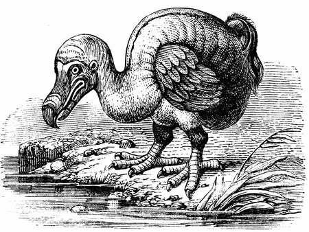 Post De Facebook Frase Acuarela Azul 1200 X 900 Px 1