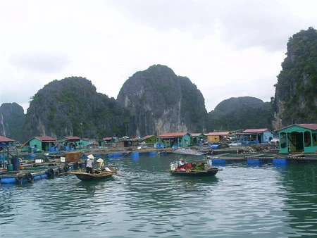 Bahía de Halong