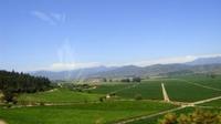 Valle de Casablanca (Chile): una parada de la ruta del vino