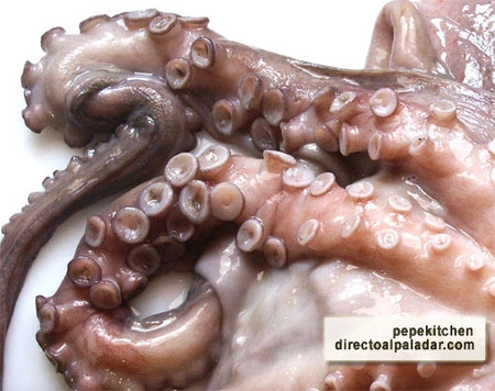 ¿Pulpo fresco o congelado?