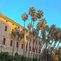 "Murillo excelentísimo" recorre los museos andaluces