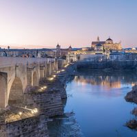 Si la pregunta es por qué aparecen tantas especies invasoras en España, la respuesta es cada vez más clara: el Guadalquivir